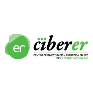 Ciberer Logo PNG Vector