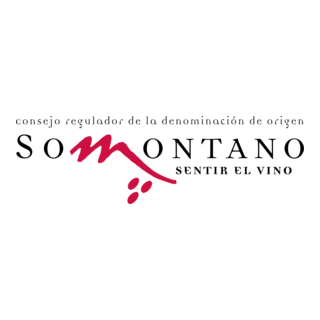 CRDO Somontano Logo PNG Vector