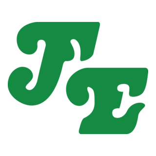 FASTEN Logo PNG Vector