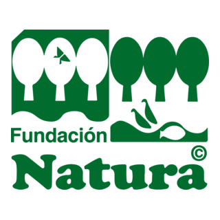 Fundación Natura Logo PNG Vector
