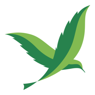Green Bird Logo PNG Vector