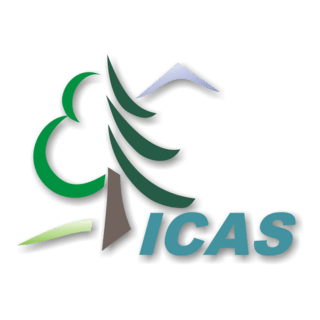 ICAS Logo PNG Vector