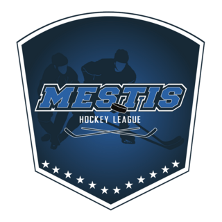Mestis Logo PNG Vector