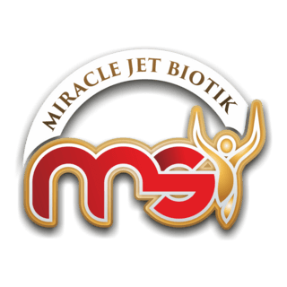 MSI Indonesia Logo PNG Vector