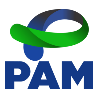 PAM Governo do Paraná Logo PNG Vector