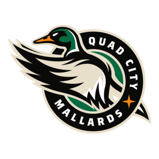 Quad City Mallards Logo PNG Vector