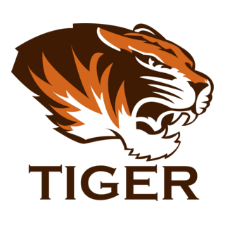 Tiger Logo PNG Vector