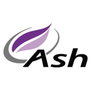 Ash Vision Logo PNG Vector