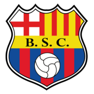 BSC Logo PNG Vector
