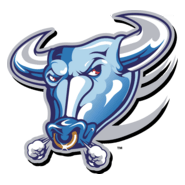 Buffalo Bulls Logo PNG Vector