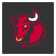 Bull Logo PNG Vector