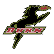 Burn Logo PNG Vector
