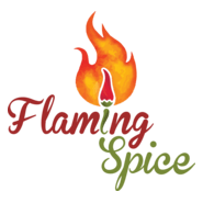 FLAMMING SPICE Logo PNG Vector