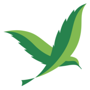 Green Bird Logo PNG Vector
