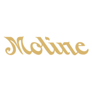 Moline Logo PNG Vector