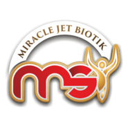 MSI Indonesia Logo PNG Vector