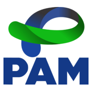 PAM Governo do Paraná Logo PNG Vector