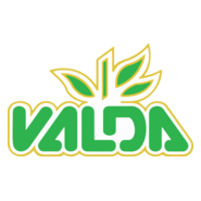 Valda Logo PNG Vector