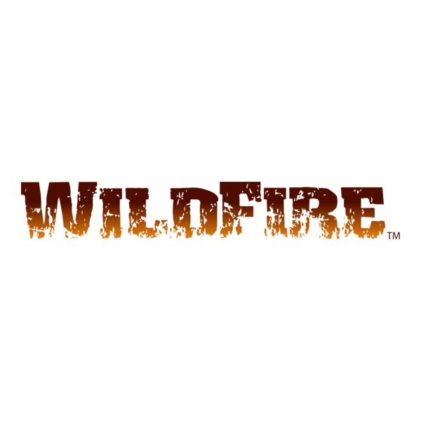 Benjamin WildFire Logo PNG Vector