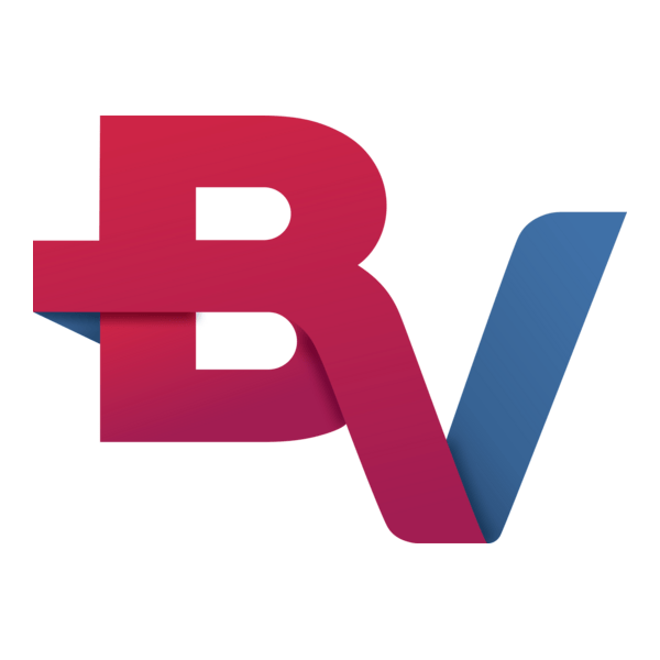 BV Financeira Logo PNG Vector
