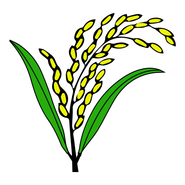 Dhaner Shish Logo PNG Vector