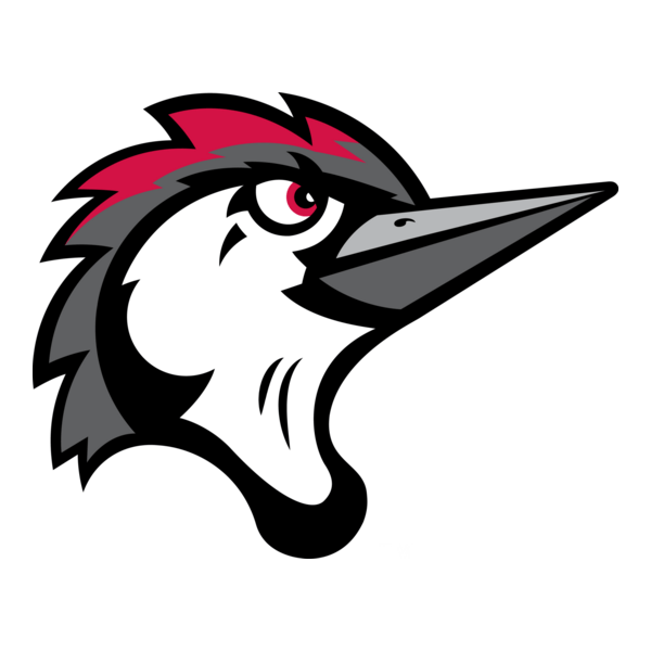 FAYETTEVILLE WOODPECKERS Logo PNG Vector