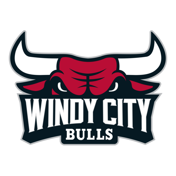 WINDY CITY BULLS Logo PNG Vector
