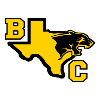 Black Cats Logo PNG Vector