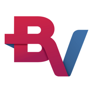 BV Financeira Logo PNG Vector