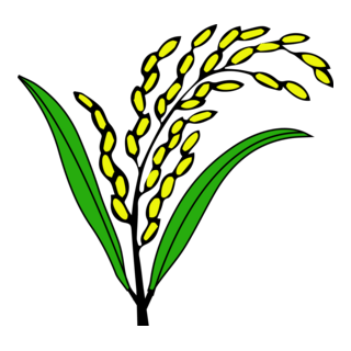 Dhaner Shish Logo PNG Vector