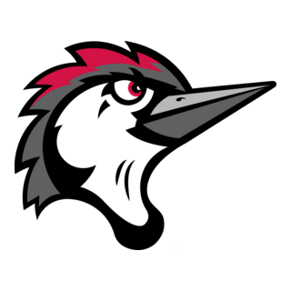 FAYETTEVILLE WOODPECKERS Logo PNG Vector
