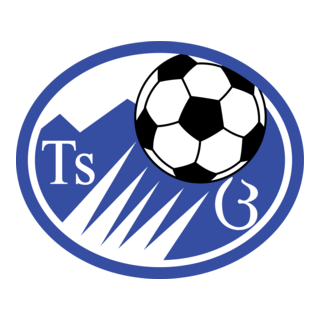 FC Tskhinvali Logo PNG Vector