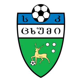 FC Tskhumi Sokhumi Logo PNG Vector
