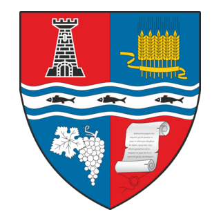 JUDETUL BIHOR STEMA Logo PNG Vector