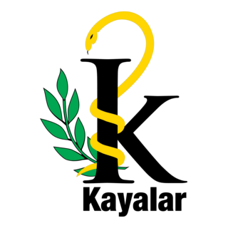 Kayalar Eczanesi Logo PNG Vector