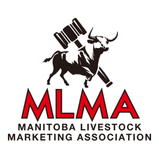 MLMA Logo PNG Vector
