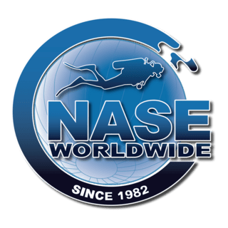 NASE Worldwide Logo PNG Vector