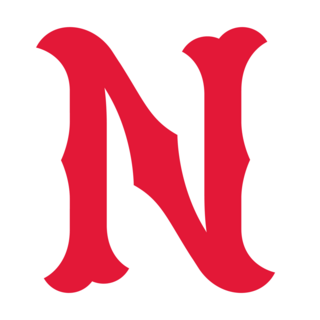 NASHVILLE SOUNDS Logo PNG Vector