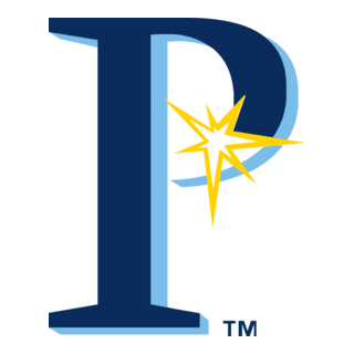 PRINCETON RAYS Logo PNG Vector