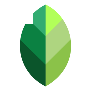 Snapseed Logo PNG Vector