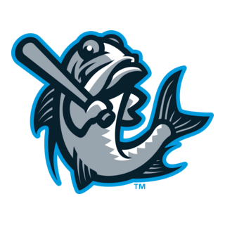 TAMPA TARPONS Logo PNG Vector