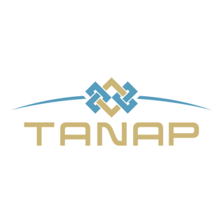 Tanap Logo PNG Vector
