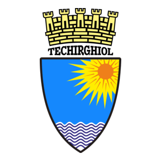 Techirghiol Logo PNG Vector