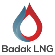 Badak LNG Logo PNG Vector
