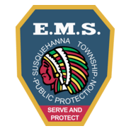 E.M.S Logo PNG Vector