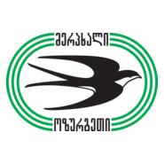 FC Mertskhali Ozurgeti Logo PNG Vector