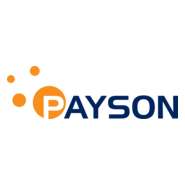 Payson Logo PNG Vector