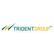 Trident Group Logo PNG Vector