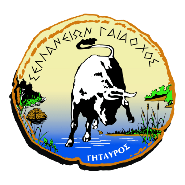 AO Sellanon Logo PNG Vector