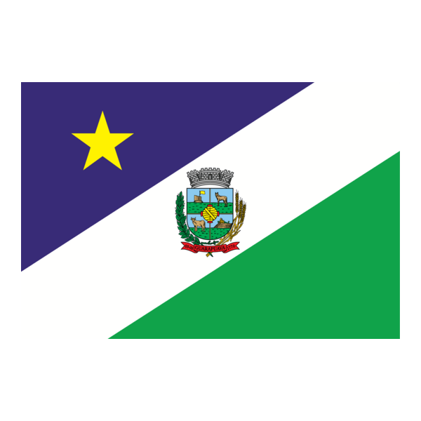 Bandeira de Guarapuava - Paraná Logo PNG Vector